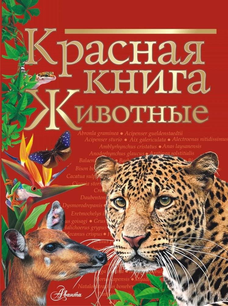 Красная книга. Животные | Red Book. Animals