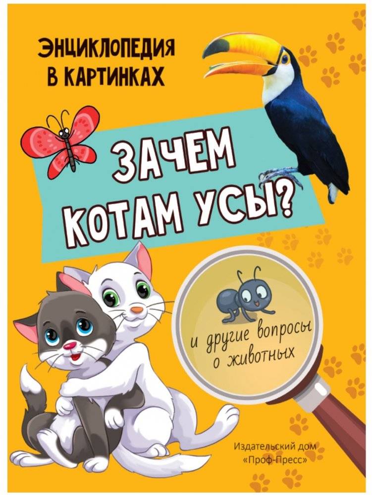 Зачем котам усы? | Why Do Cats Have Whiskers?