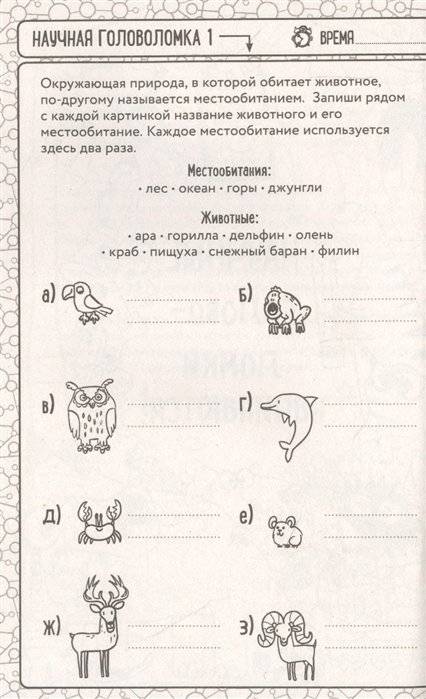 Гениальные головоломки фото книги 2