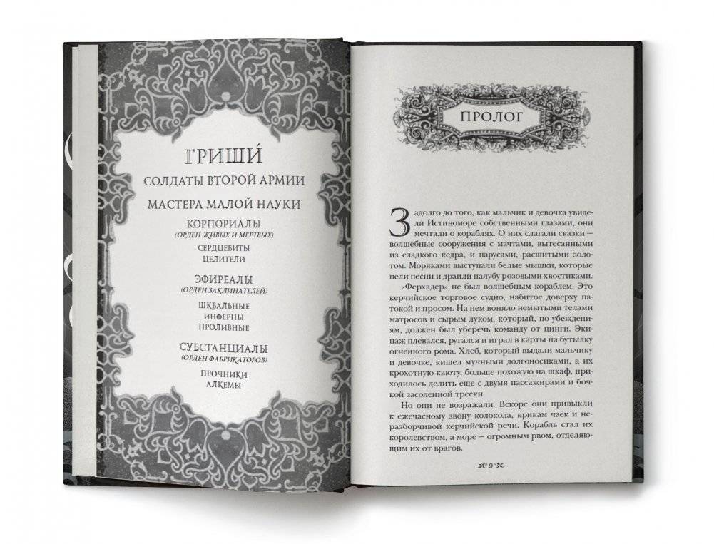 Штурм и буря фото книги 2