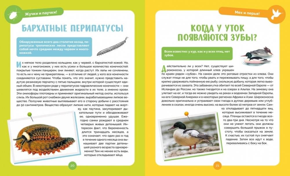 Невероятные животные фото книги 5