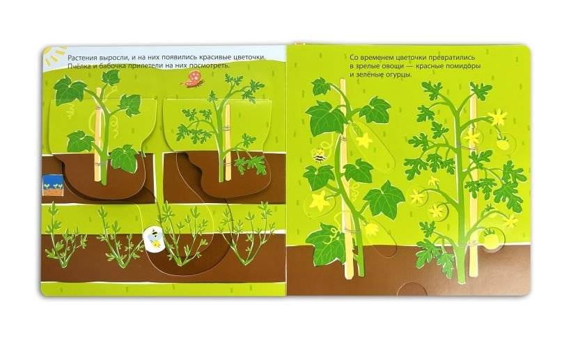 Собираем урожай (Развивающая 3D-книга) фото книги 5