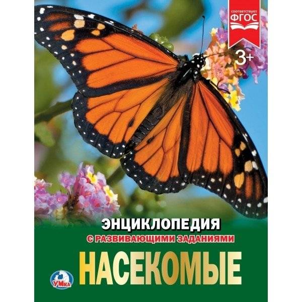 Насекомые | Insects