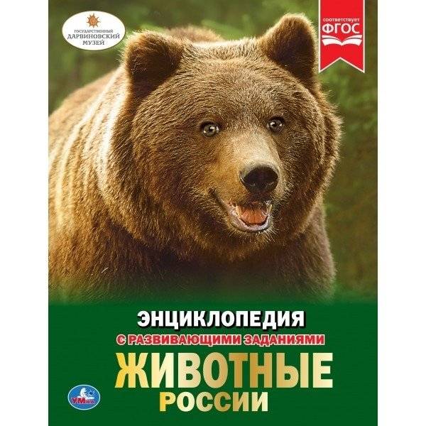 Животные России | Animals of Russia