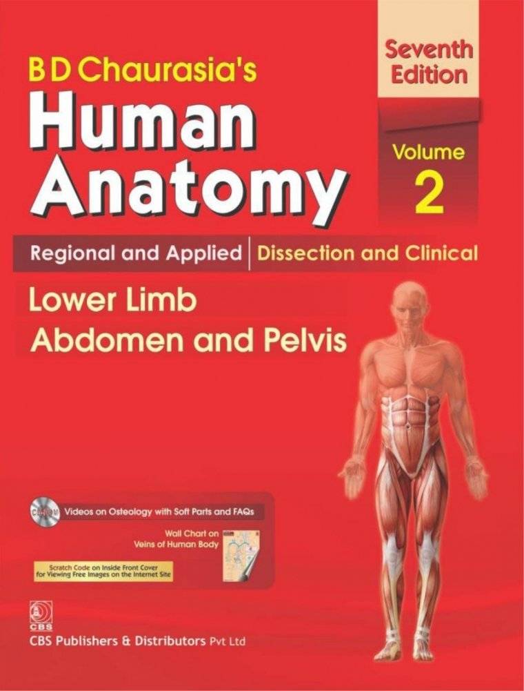 B.D.Chaurasia's Human Anatomy. Regional and Applied. Dissection and Clinical. Lower Limb Abdomen and Pelvis. Volume 2 | B.D. Chaurasia's Human Anatomy: Lower Limb, Abdomen, and Pelvis (Volume 2)