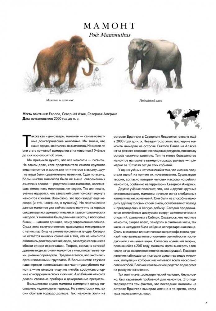 Книга исчезнувших животных. BIObook А. Толмачёва фото книги 4
