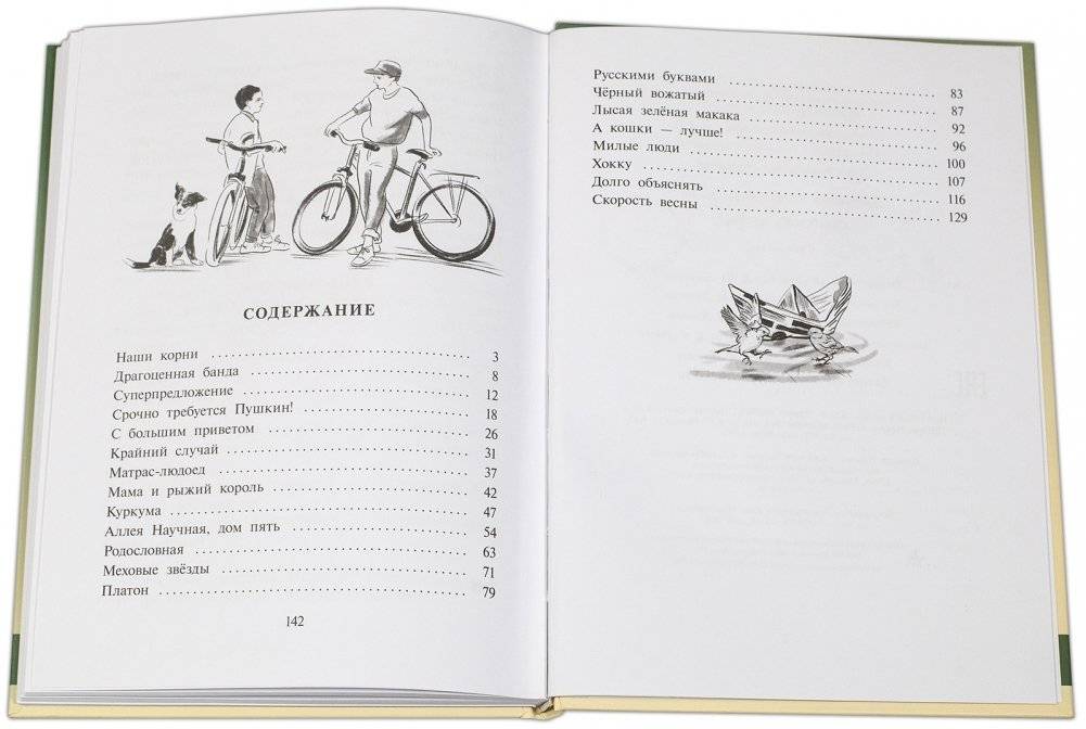 Скорость весны фото книги 6