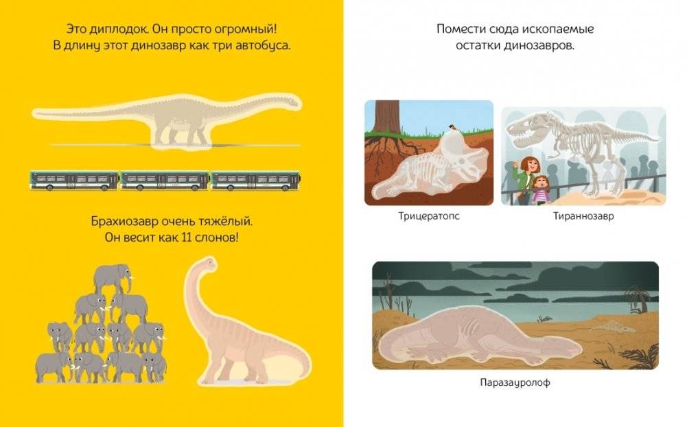 В мире динозавров фото книги 3