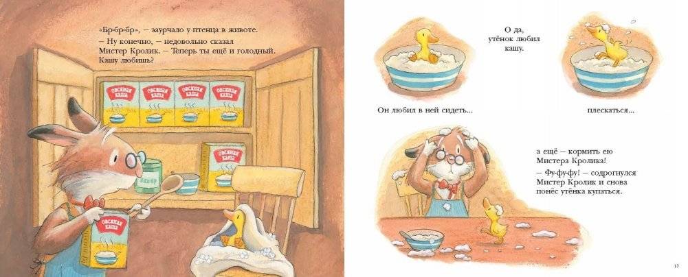 Утиная каша фото книги 2