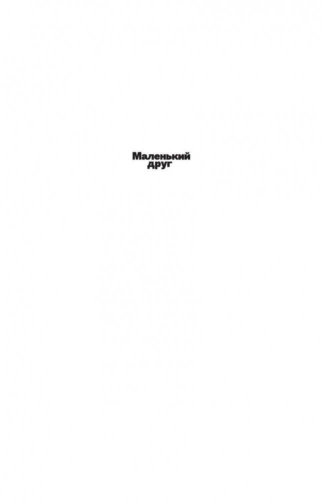 Маленький друг фото книги 2