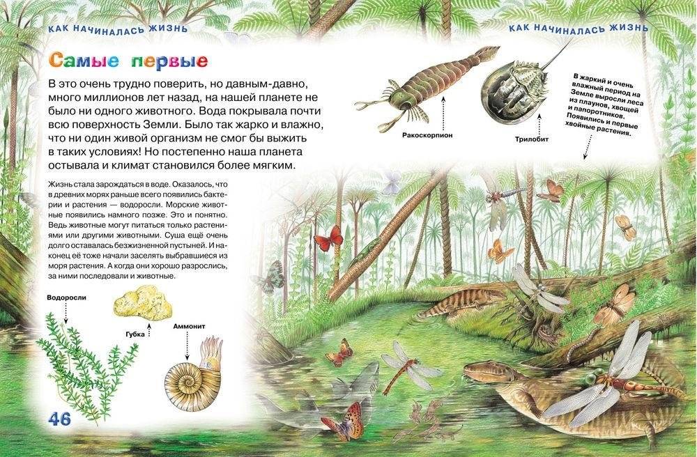 Новая энциклопедия для любознательных фото книги 2