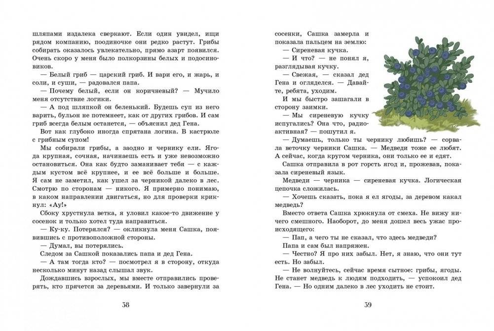 Таежный квест фото книги 4