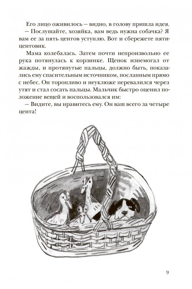 Собака, которая не хотела быть просто собакой фото книги 3