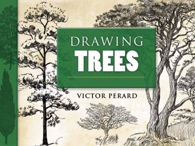 Рисуем деревья | Drawing Trees