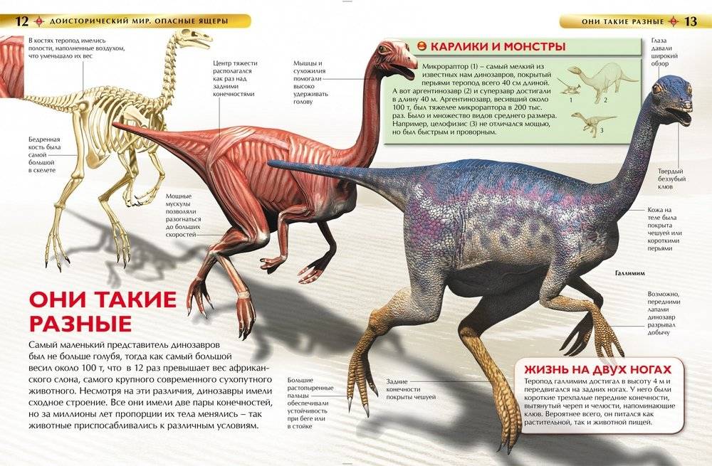 Доисторический мир. Опасные ящеры. Детская энциклопедия фото книги 2