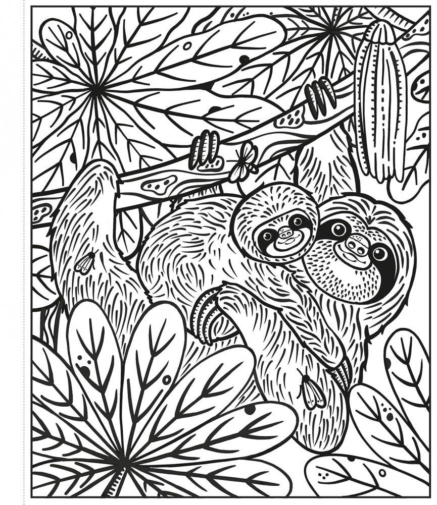 Rainforest Magic Painting Book фото книги 3