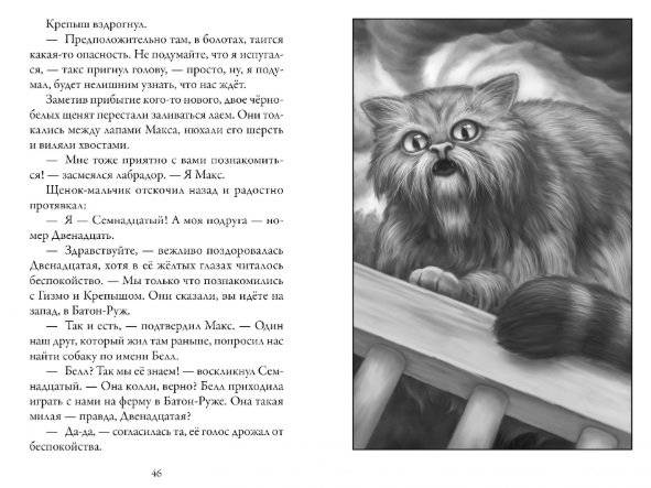 Верные. Книга 3. Дорога чудес и невзгод фото книги 3