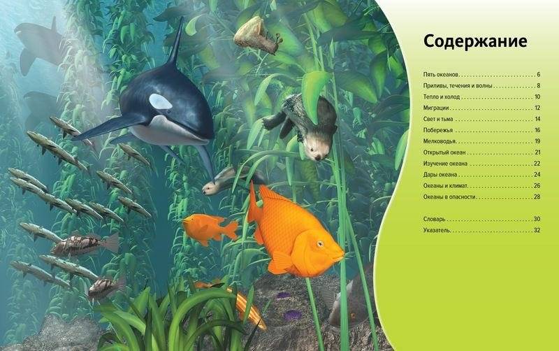 Жизнь в океане фото книги 2