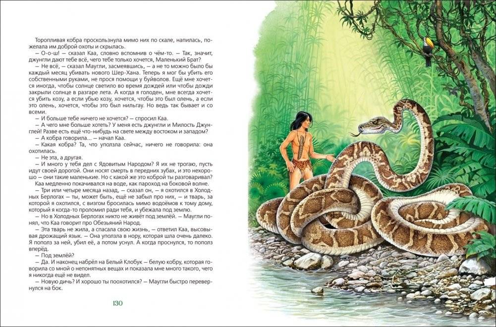 Маугли фото книги 4