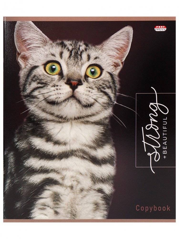 Тетрадь "Благородные кошки", А5, 48 листов, клетка фото книги 3