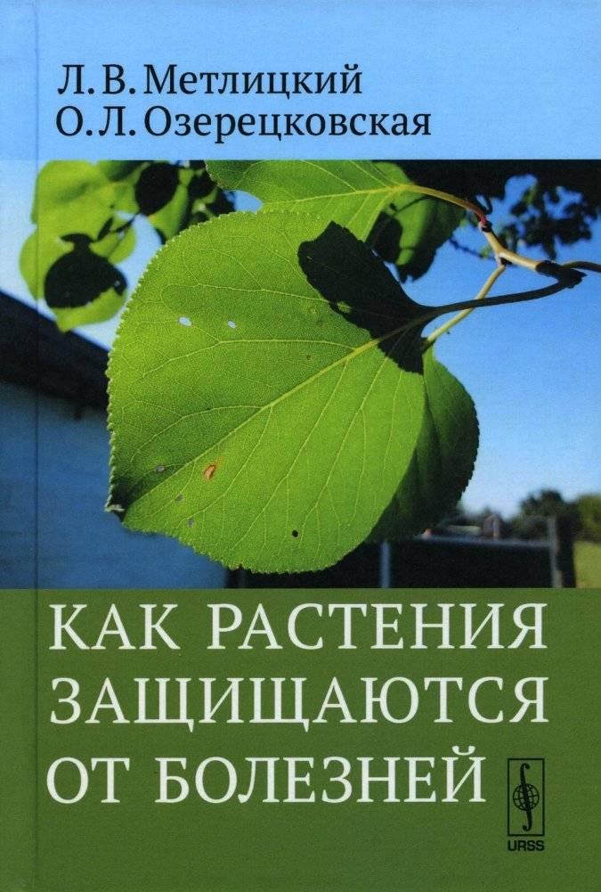 Как растения защищаются от болезней | How Plants Defend Themselves Against Diseases