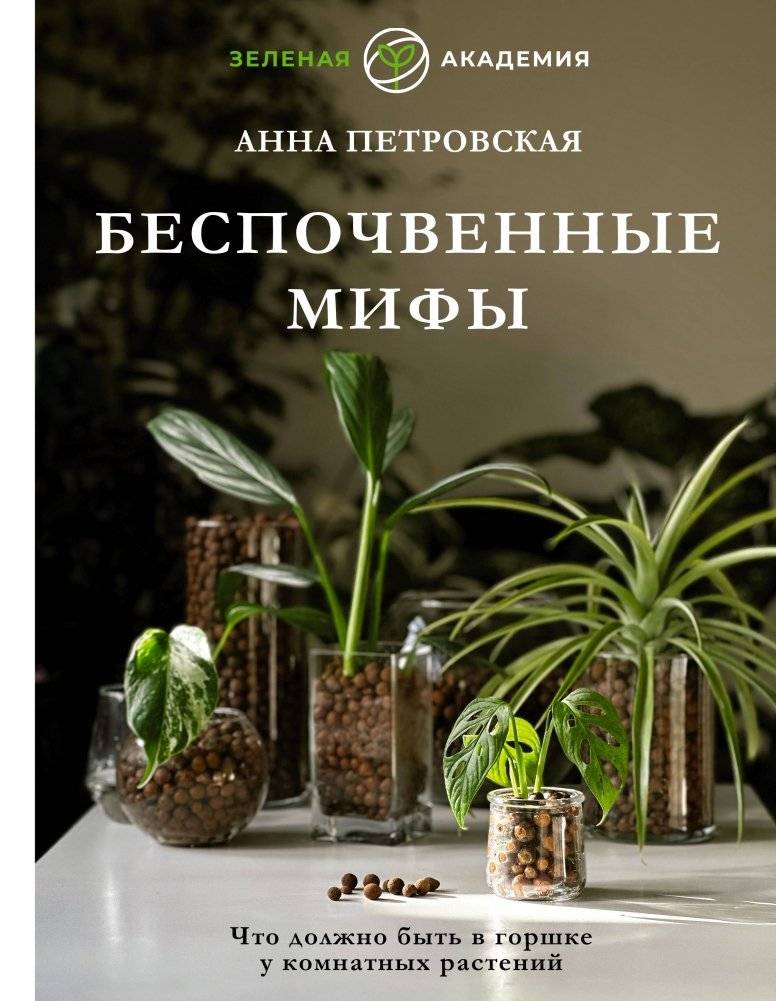 Что должно быть в горшке у комнатных растений. Беспочвенные мифы | What Should Be in a Houseplant Pot. Groundless Myths