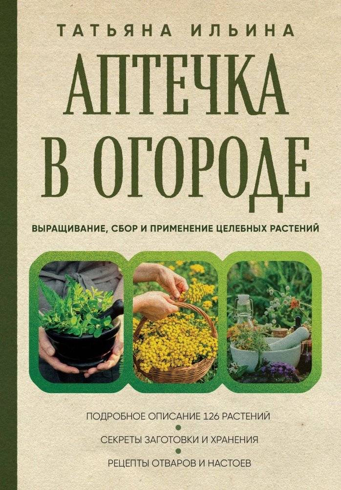 Аптечка в огороде: выращивание, сбор и применение целебных растений | First Aid Kit in Your Garden: Growing, Harvesting, and Using Medicinal Plants