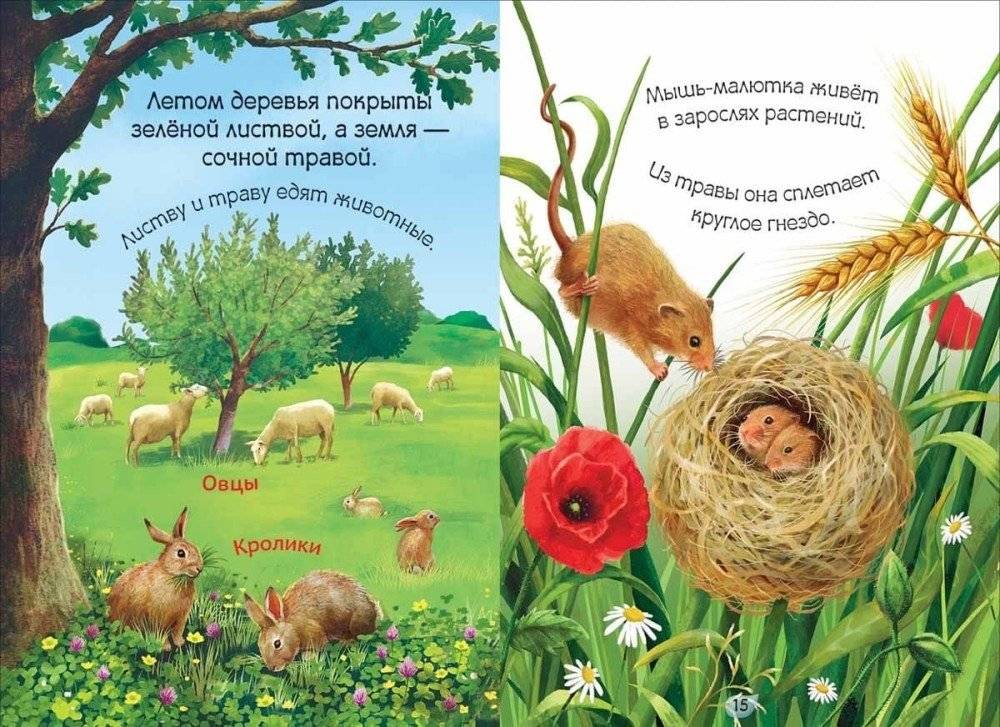 Круглый год фото книги 3