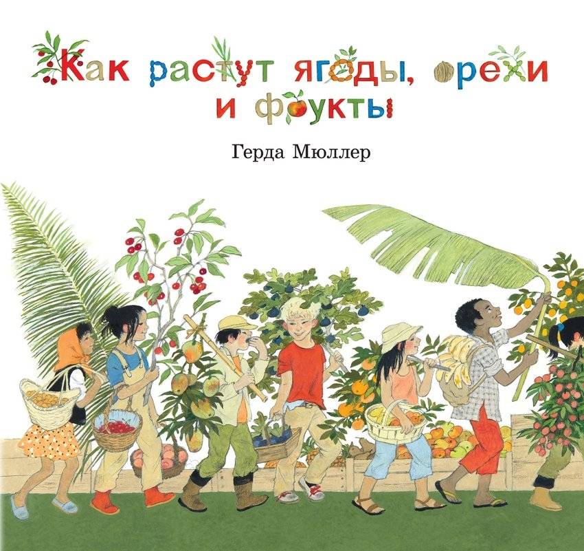 Как растут ягоды, орехи и фрукты | How Berries, Nuts, and Fruits Grow