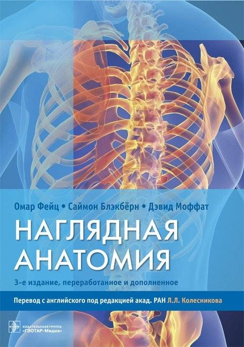 Наглядная анатомия | Visual Anatomy