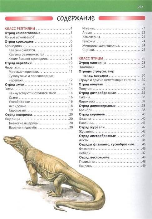 Животные. Детская энциклопедия фото книги 7