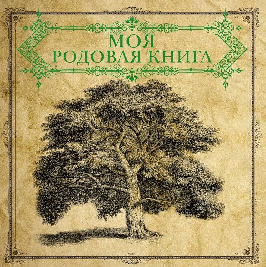 Моя родовая книга | My Family Heritage Book
