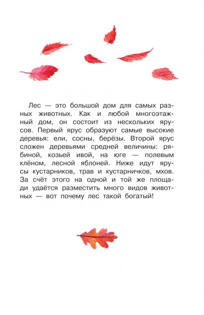 Кто живёт в лесу? фото книги 6