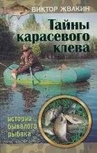 Тайны карасевого клева | Secrets of Crucian Carp Fishing