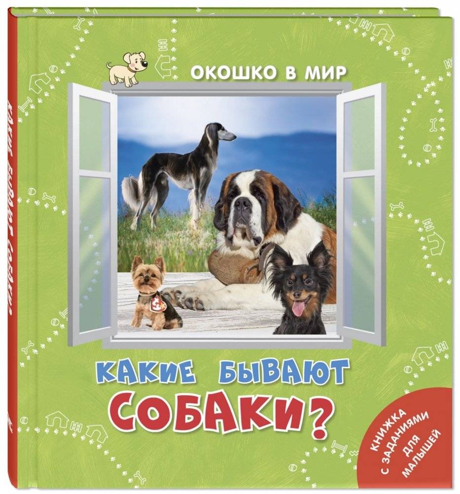 Какие бывают собаки? | What Kinds of Dogs Are There?