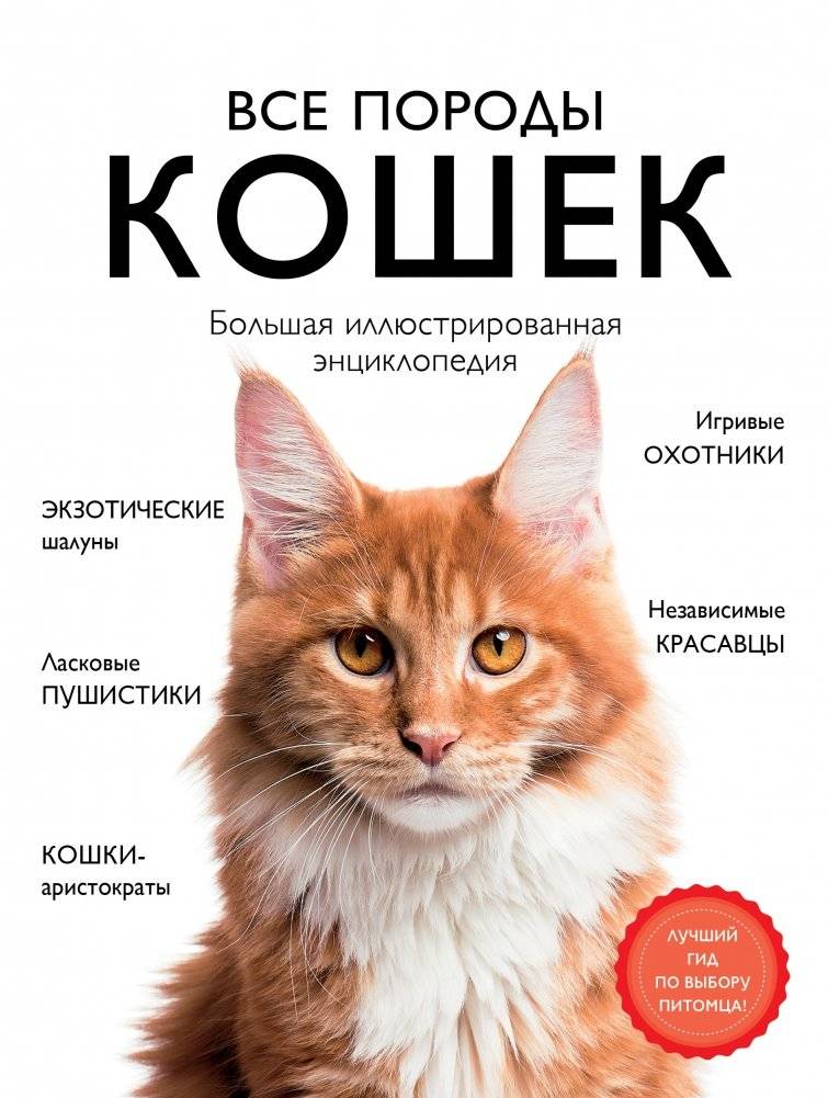 Все породы кошек. Большая иллюстрированная энциклопедия | All Cat Breeds: A Comprehensive Illustrated Encyclopedia
