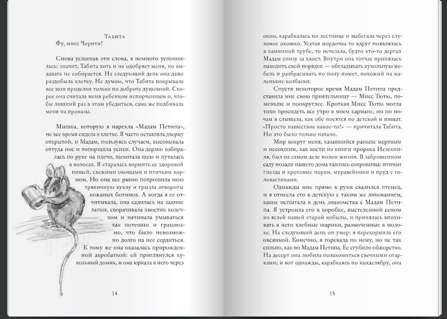Мисс Черити фото книги 8
