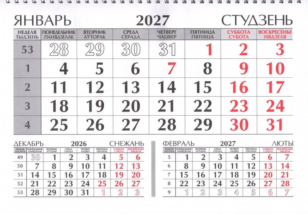 Календарь настенный квартальный на 2027 год. "Год Козы" фото книги 2