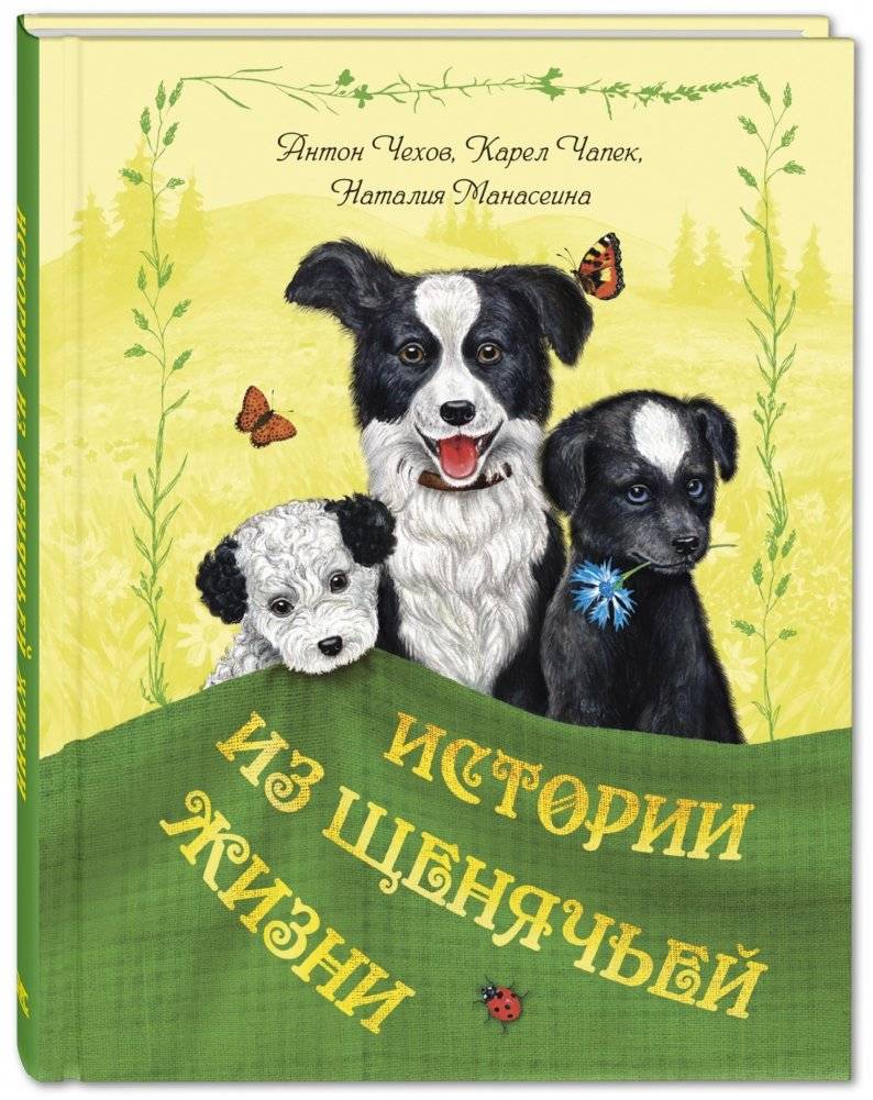 Истории из щенячьей жизни | Stories from Puppy Life