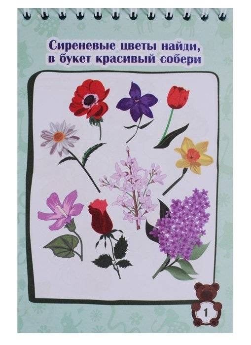 Блокнот занимательных заданий для детей 4-7 лет. Иигры, пазлы, задачки, ребусы, лабиринты, кроссворды, сканворды фото книги 5