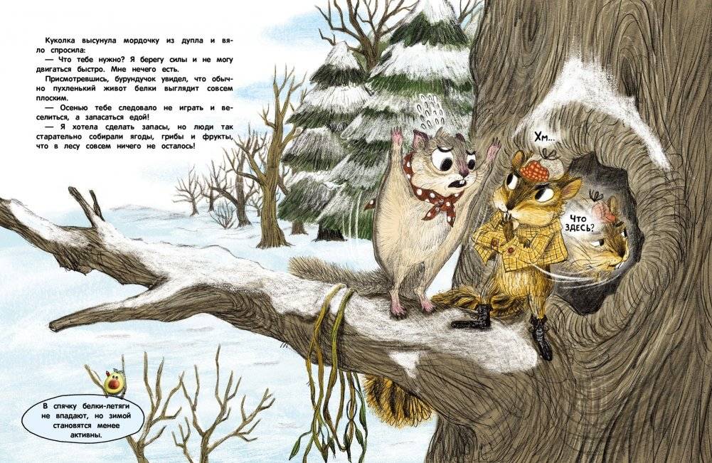 Кто украл орехи? фото книги 3