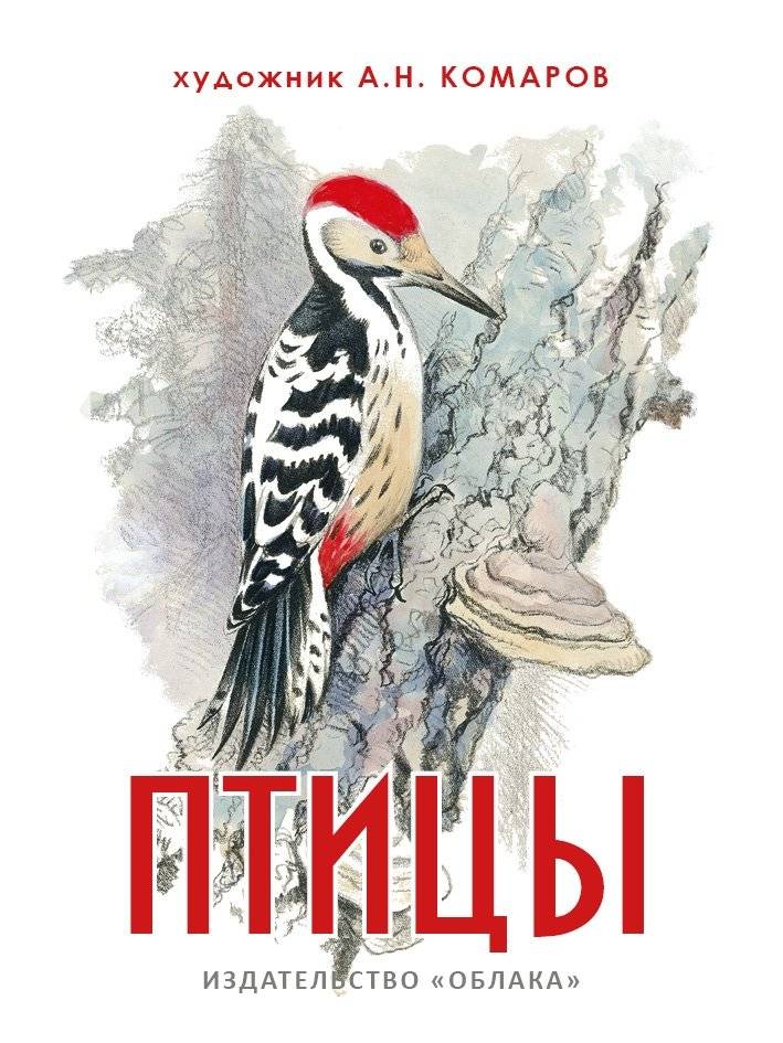 Птицы | Birds