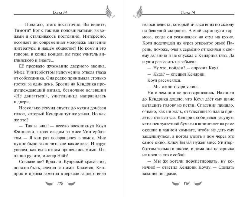 Соколиный пик. Око бури (#3) фото книги 5