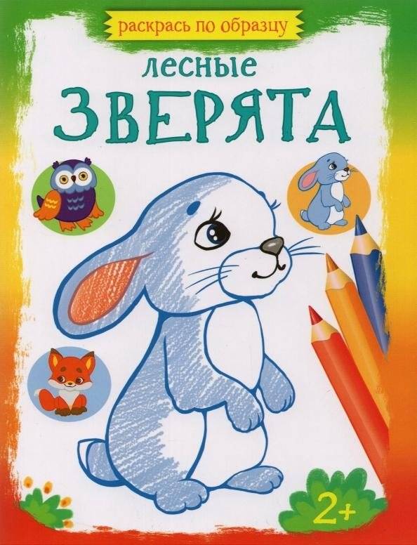 Лесные зверята | Forest Animals
