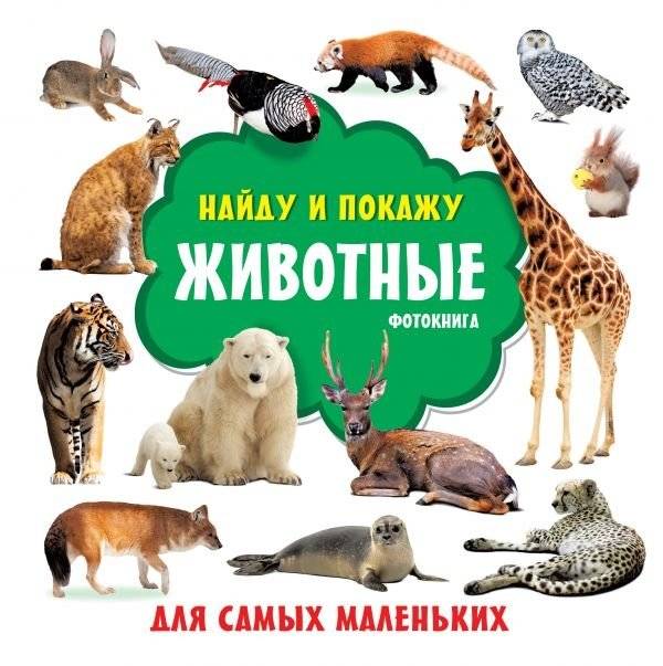Животные. Фотокнига | Animals. Photo Book