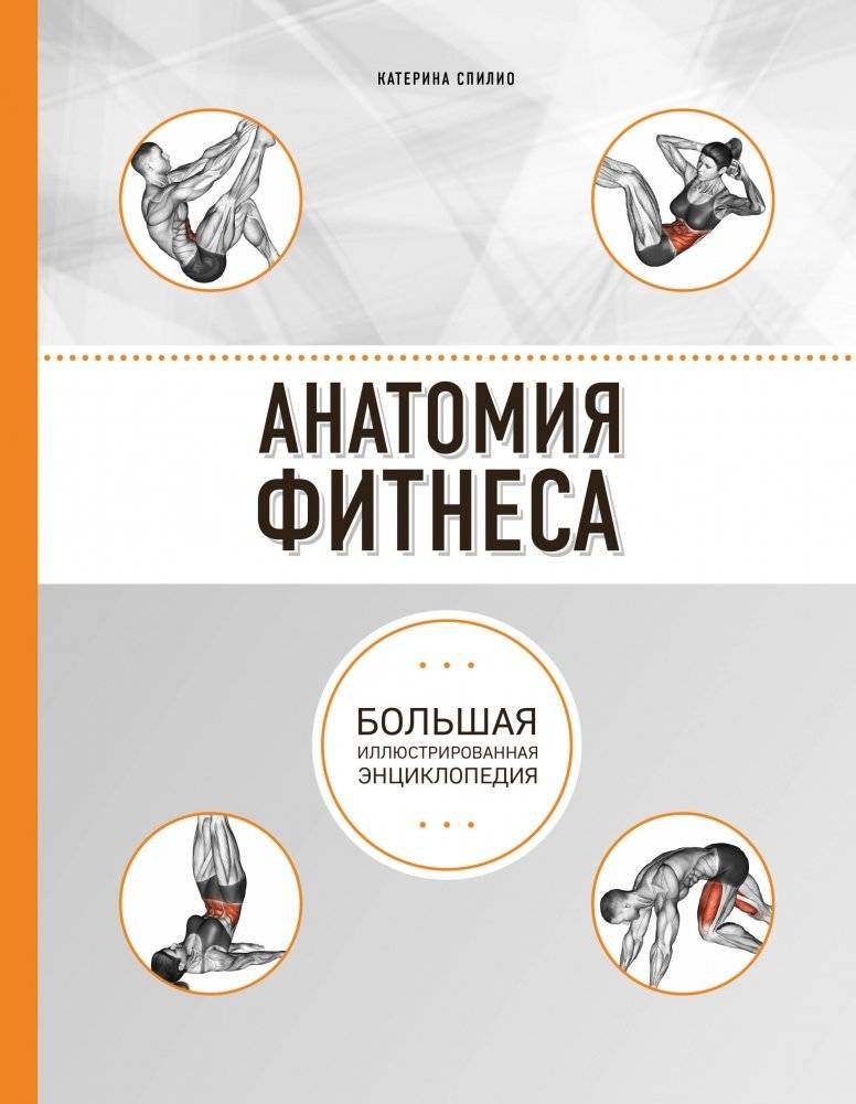 Анатомия фитнеса | Fitness Anatomy