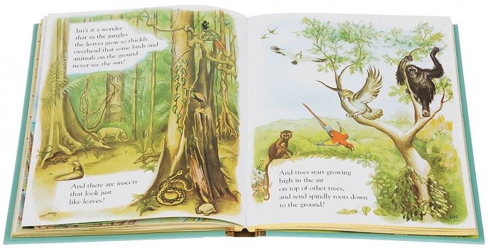 Eloise Wilkin Stories фото книги 3
