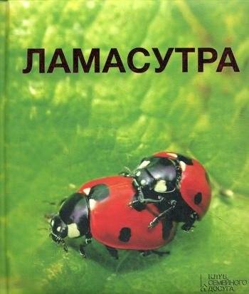 Ламасутра | Lamasutra