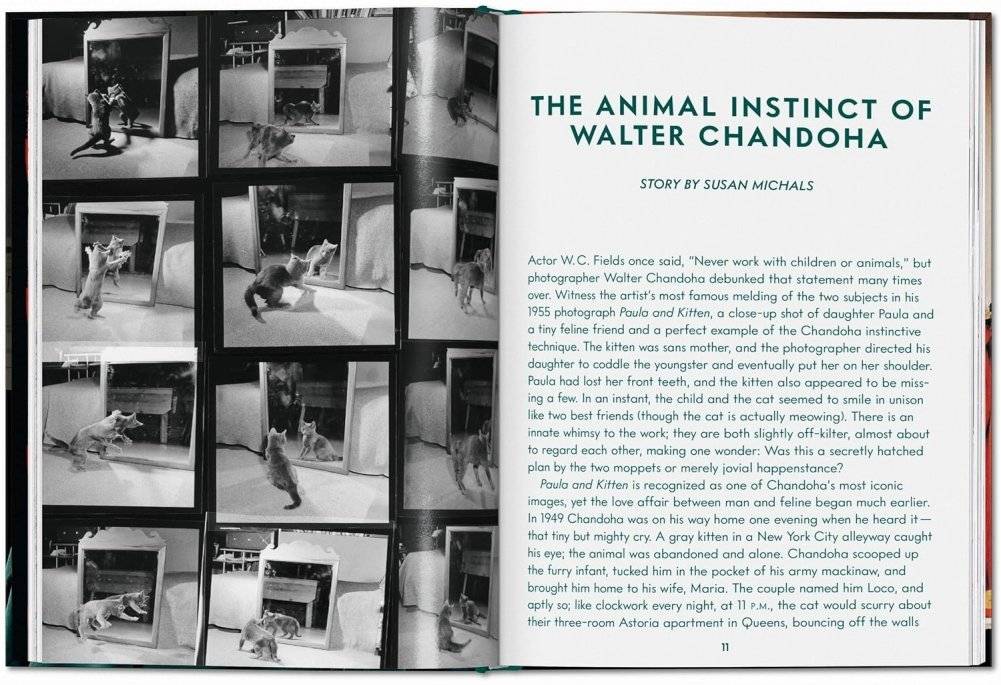 Walter Chandoha. Cats. Photographs 1942-2018 фото книги 2