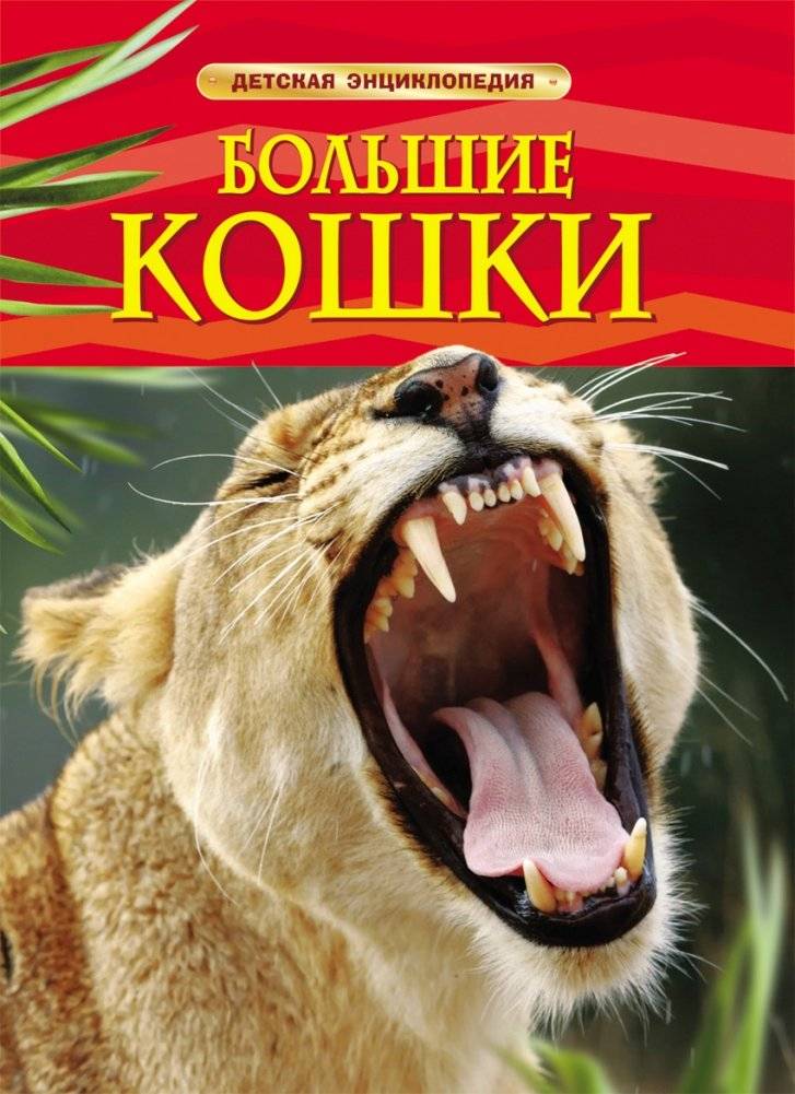 Большие кошки. Детская энциклопедия | Big Cats: Children's Encyclopedia